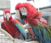 동물카페·실내동물원···‘감옥’ 속 동물 구할 동물원법·야생동물법 개정안 법사위 통과