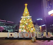 ‘시민공간’ 서울광장 트리 위 십자가...특정 종교 상징물 적절성 놓고 논란
