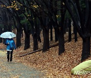 인천, 오전 비 그치고 점차 맑아져…평년보다 기온 높아