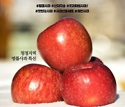 [제천소식]제천하늘뜨레 사과 전국 롯데마트서 판촉행사 등