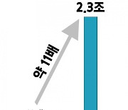 채권개미, 올해만 2.3조 담았다···"금리하락 전망 저쿠폰 채권에 몰려"