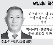 '車·船' 넘어···혁신 힘주는 현대家 3세