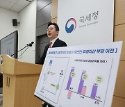 국부유출, 역외탈세자 세무조사