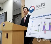 국부유출, 역외탈세자 세무조사