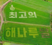 당진농업기술센터, 논 그림으로 지역 쌀 홍보…수확 쌀 기탁도