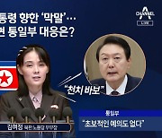 “소대가리” “천치바보” 김여정, 文 이어 尹에 막말