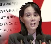 윤 대통령 향해 "천치바보"…김여정의 900자 '독설'