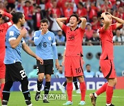 비겼지만 고품질 명품경기, 벤투호의 '우리 축구' 세계에서 통했다[도하 SS현장]