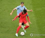 '우루과이와 용호상박' 한국, 0-0 유지한 채 후반 노린다[월드컵 전반 라이브]