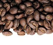 원두·즉석·디카페인 중 심혈관에 좋은 커피는