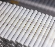 필립모리스 양산공장, 일루마 전용 담배 `테리아` 본격 생산
