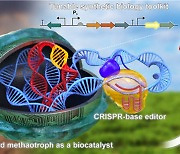 생명연, 메탄을 친환경 소재화하는 합성생물학 기술 개발