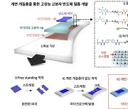 KAIST, 고분자 반도체 균열 억제 성공...유연 소자 개발 게임체인저 '기대'