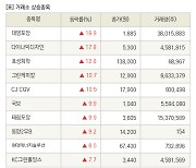 [fnRASSI]장마감, 거래소 상승 종목(대영포장 18.9% ↑)