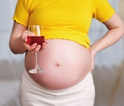 임신 중 술 한 잔… 태아 뇌 '이렇게' 바꾼다