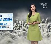 [날씨] 강원 곳곳 서리·도로 살얼음…냉해·미끄럼 주의