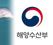 ‘돌고래쇼 금지법’ 국회 통과…만지기·올라타기 금지