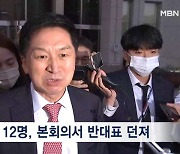국조에 '대검 포함' 충돌 속 본회의 통과…장제원·윤한홍 등 친윤 반대표 던져