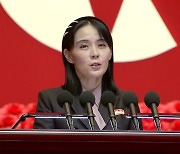 "체제 흔들기, 책임 전가" 통일·외교·국방, 김여정에 일제히 반격