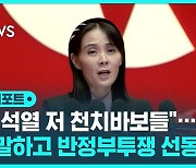 [D리포트] "천치바보 정권 보고만 있나"…반정부 투쟁 선동