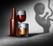 임신 중에 술 조금만 마셔도 태아 뇌에 ‘악영향’