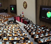 '이태원 참사 특위' 국정조사 계획서 본회의 의결