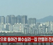 (영상)10년 전으로 돌아간 매수심리…집 안팔려 전세 놓는다