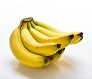 냉장고 보관이 오히려 ‘독’ 되는 과일과 채소 6
