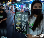 대마 관광 상품 홍보하는 태국