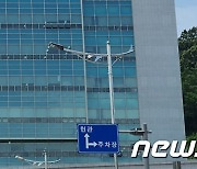 원주시, 고소득 작물 '치악산 딸기' 11월 말부터 본격 출하