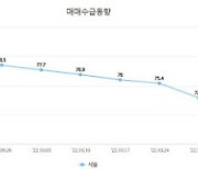 서울 아파트 매수심리 10년만 최저…29주 연속 하락