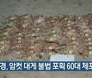 해경, 암컷 대게 불법 포획 60대 체포