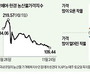 이상고온에 출하 이어져…파프리카값 '반토막'