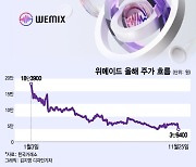 '-97%' 위믹스 상폐 후폭풍…"장현국 책임져라" 개미 분노 폭발