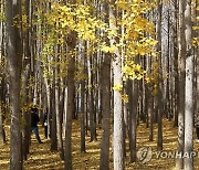 동물에게 배우는 장수의 비결…신간 '동물들처럼'