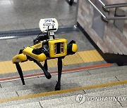 인천시, 부평역·지하상가서 내년까지 로봇 5종 실증
