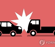 나들목 역주행하던 1t 트럭 정면충돌…8명 경상