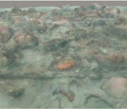 국립해양문화재연구소, 70년 전 고흥 앞바다에서 실종된 옹기운반선 발견