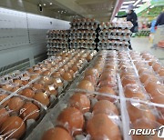 울산지역 유통 계란 233건 잔류 농약·항생물질 검사…모두 적합
