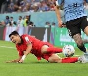 [월드컵] 벤투호 수비의 핵 김민재, 종아리 통증으로 이틀 연속 훈련 불참