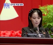 '서울 과녁' '천치바보' 김여정 막말 비난