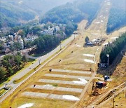 저출산에 사라진 스키캠프…3040은 "그 돈이면 골프"