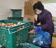 [르포]‘대구농수산물도매시장’ 복구에만 2년 걸려…상인 “농산물 상하는 여름이 더 걱정”