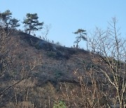 전북 완주 화산면 산불 이틀째… 소방당국 "헬기 투입 진화"