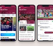 네이버·카카오 실시간 중계와 채팅 서비스로 ‘월드컵 특수’ 공략