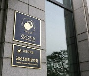 금감원, 금융사 신사업 추진 지원…인허가 심사 기간 단축