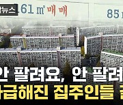 [자막뉴스] 호재 터진 강남도 못 피한 '급락'...다급한 집주인들의 선택