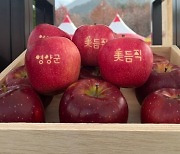 ‘美미듬직한 영양사과’, 대구 경북사과 오프라인 홍보행사 참가 … ‘청정자연’ 알리기