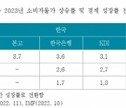 보험硏 "미국보다 한국이 기준금리 인상 조기 종결한다"