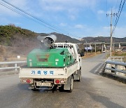 AI 전국 확산··· 충남 홍성 일반 가정집 관상 조류도 확진